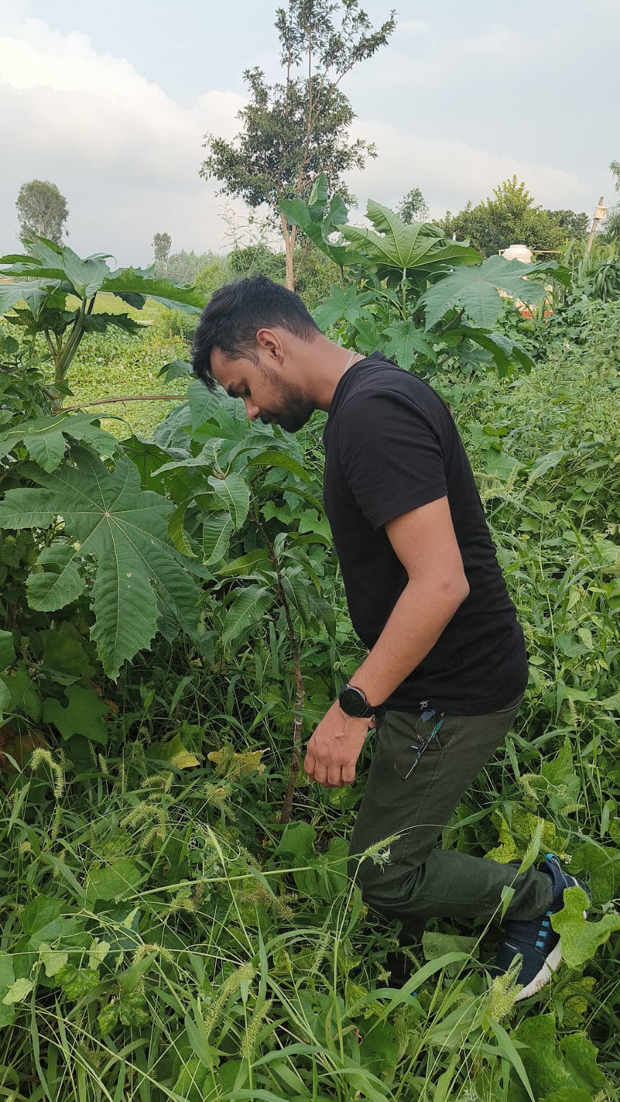 Me kneeling in the grass, checking on the growth of young trees