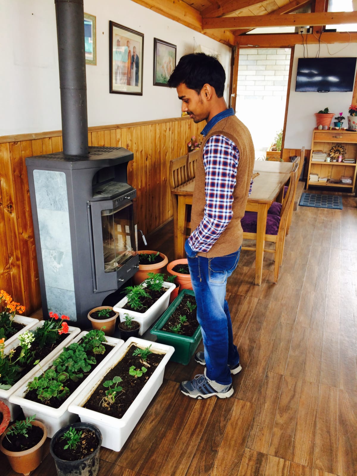 A wide open green field under the afternoon sun