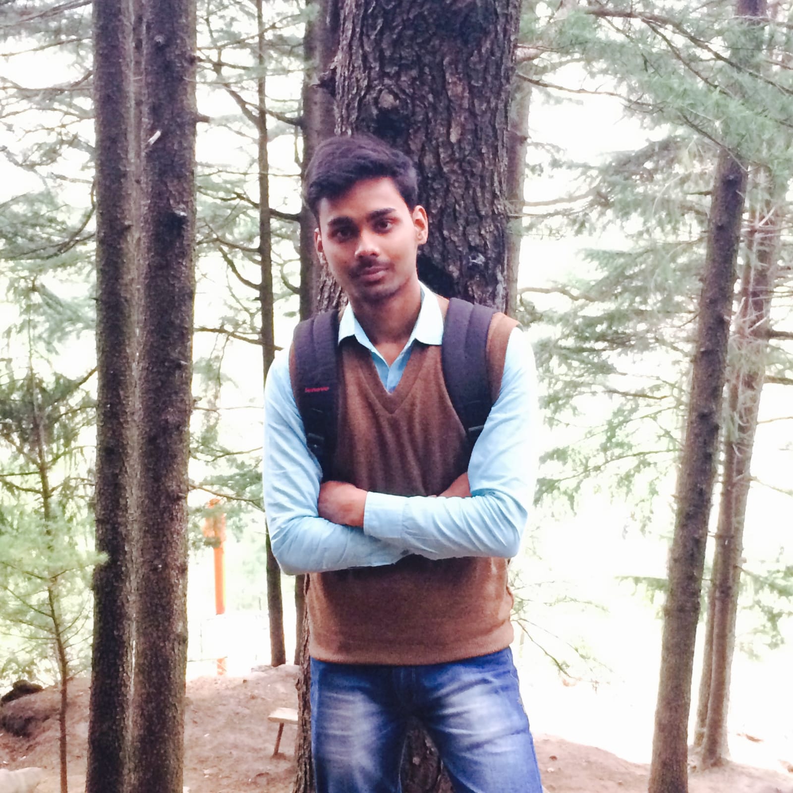 My personal collection of plants at home